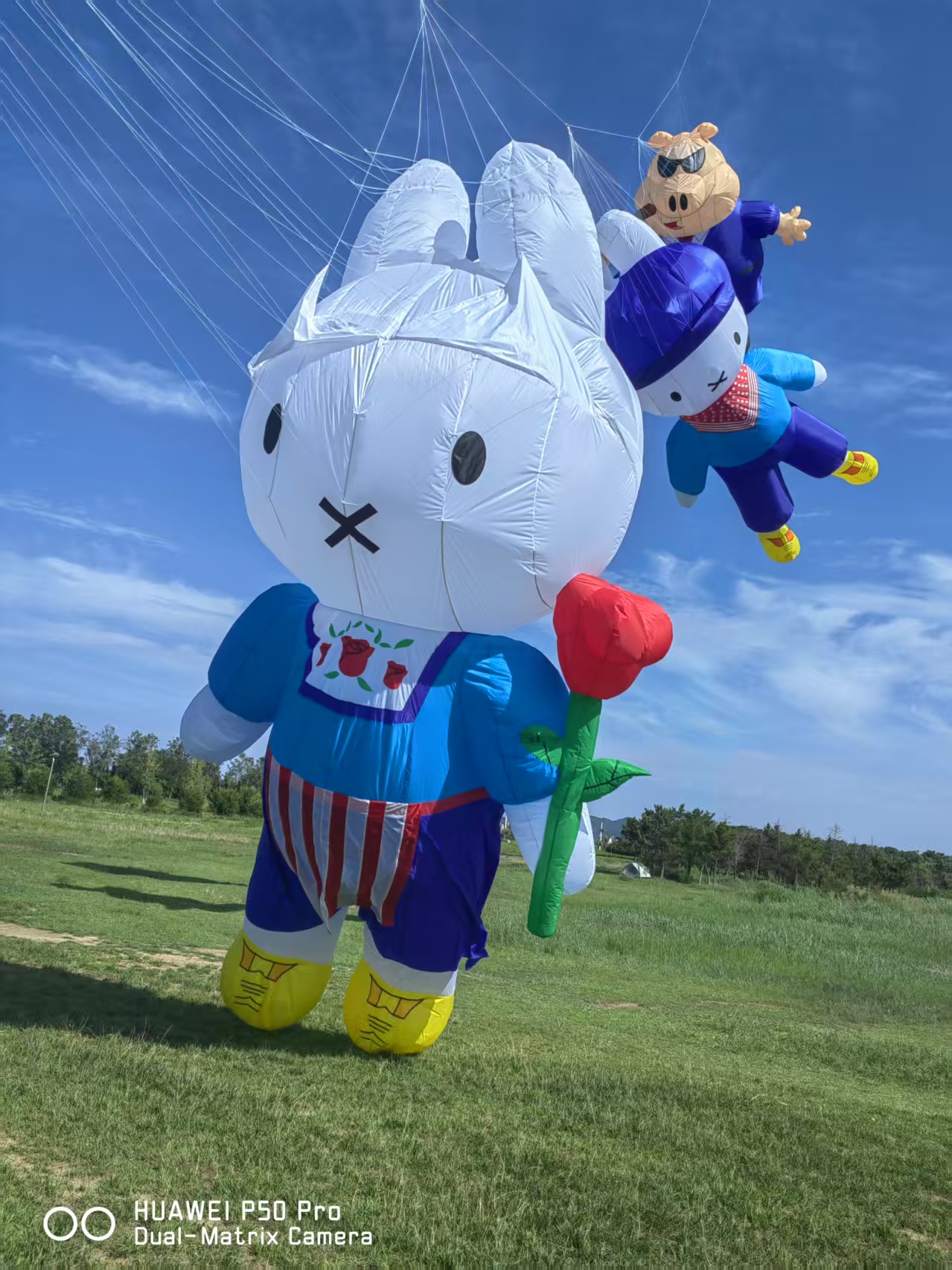 儋州市儿童风筝定制风筝加工 - 方案
