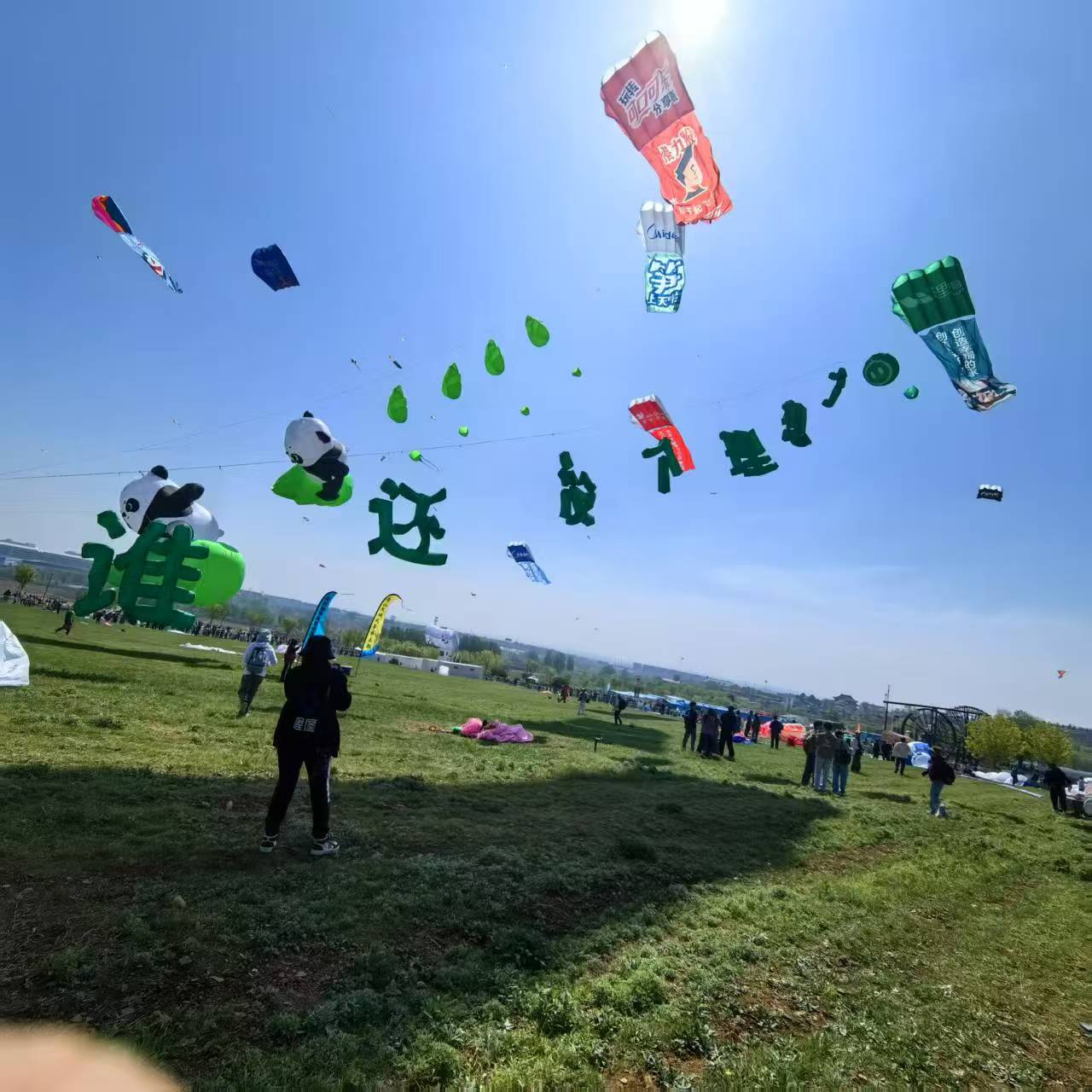 儋州市品牌风筝定制风筝定制 - 哪里好